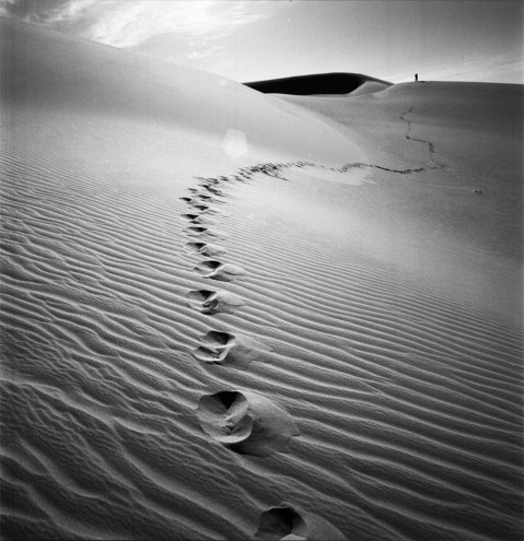 5097371100_68fcf6aeb4_b